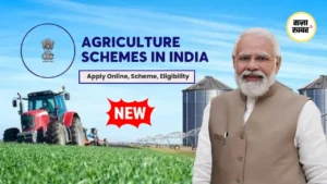 AMI Scheme (Warehouse Subsidy 50%): गोदाम निर्माण पर 50% तक सब्सिडी