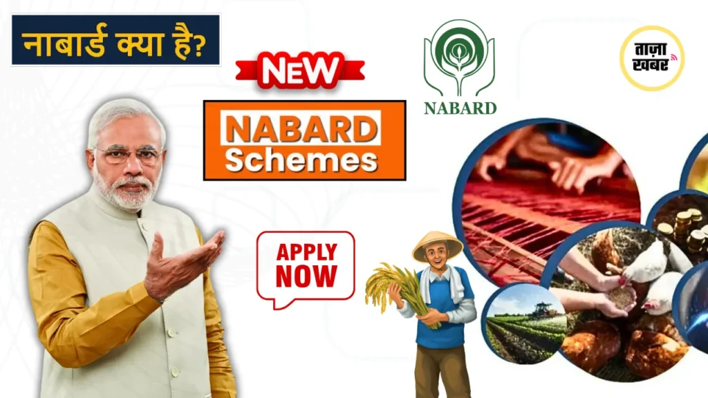 NABARD DIDF Dairy Loan Subsidy