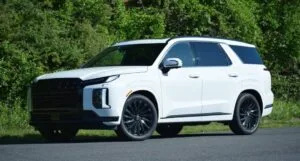 Hyundai Palisade फैमिली के लिए बनी है ये रॉयल और दमदार एसयूवी