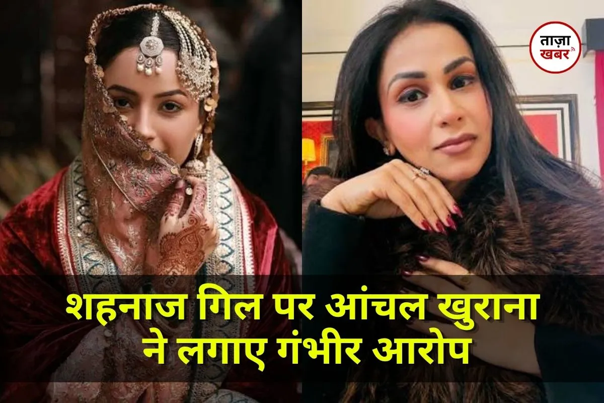 ‘मासूमियत का नाटक करती हैं’… Shehnaaz Gill पर Aanchal Khurana ने कसा तंज